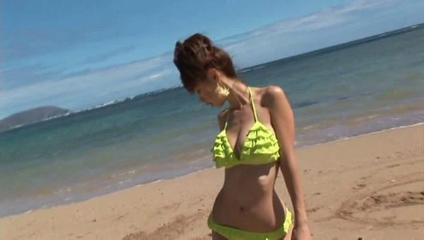 [FDKD-2] Hoshino Tours DVD - Image 7